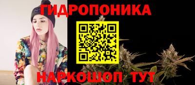 индика Кимры