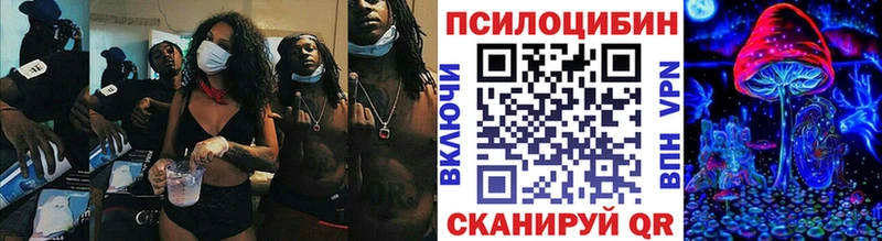магазин наркотиков Северобайкальск Псилоцибиновые грибы мухоморы