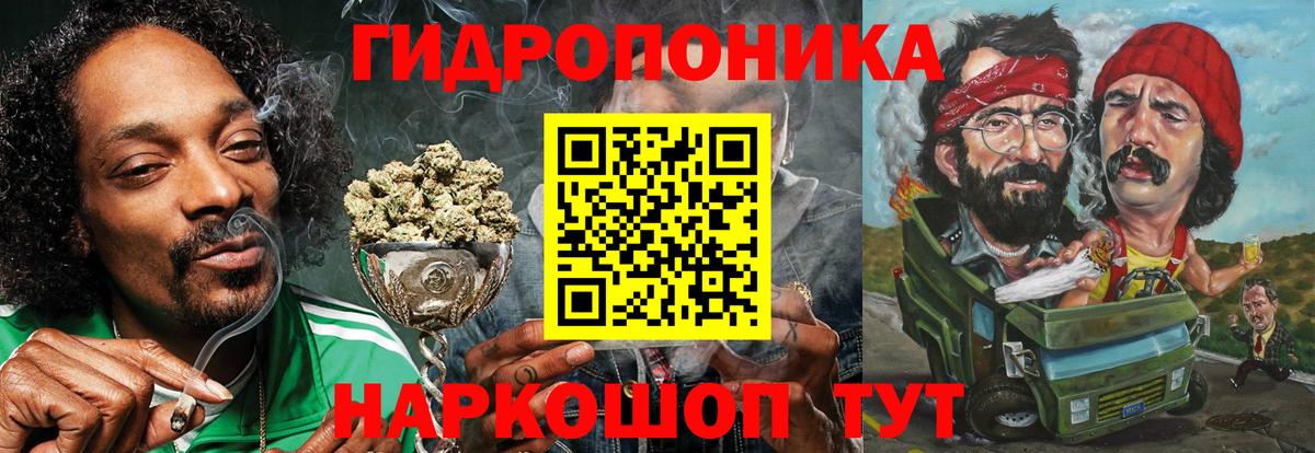 Бошки Шишки AK-47  Вход с VPN  Бошки Шишки план  Конопля планчик  Каннабис сатива  Северобайкальск 